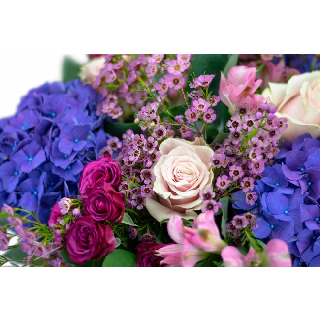 Bouquet of hydrangea